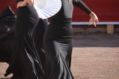 130322-Aguascalientes-002