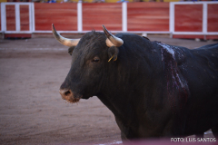 130322-Aguascalientes-020