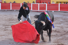 Ags20210822-33