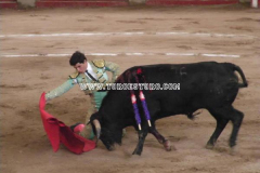 arroyo-15-08-2009_0064_3_8ed7f