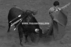arroyo-15-08-2009_0346_3_6ee18
