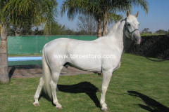 Matador_3_bfa9e