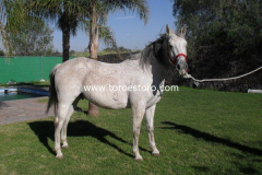 Tequilero_3_768c2