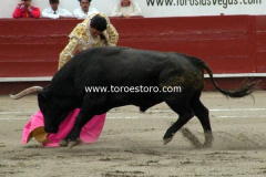 pachuca-11-10-2009_0012_3_f02c6
