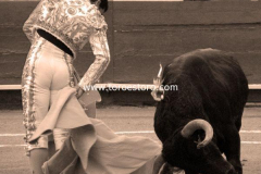 pachuca-11-10-2009_0021_3_0f951