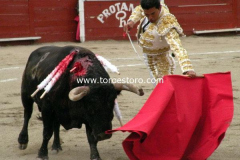 pachuca-11-10-2009_0039_3_20bf8