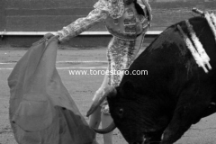pachuca-11-10-2009_0184_3_9ba55