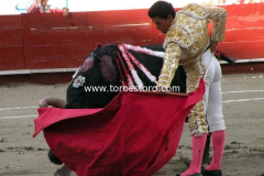 pachuca-11-10-2009_0194_3_d159e