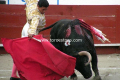 pachuca-11-10-2009_0204_3_29120