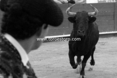 pachuca-11-10-2009_0218_3_5b357