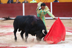 tlaxcala-2026-05