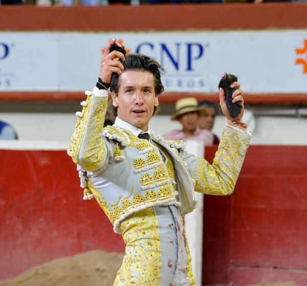 Gilio con 2 Orejas en Aguascalientes