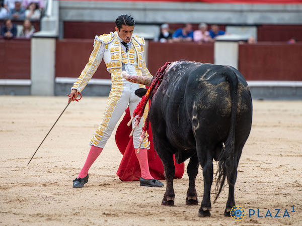 La terna sin opciones en Madrid